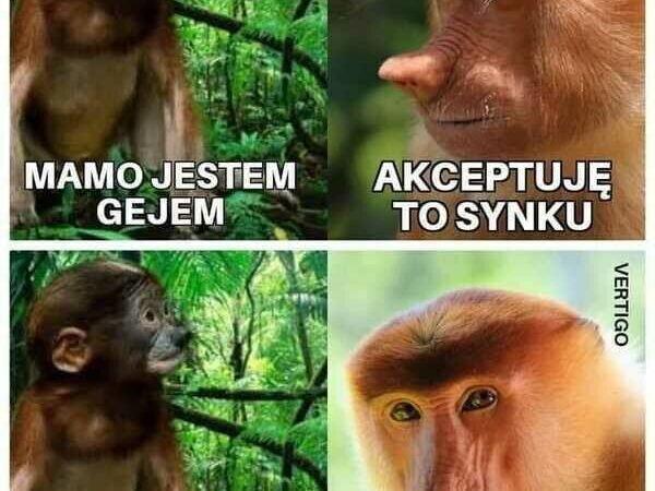 Zupa zasłona Zupa zasłona